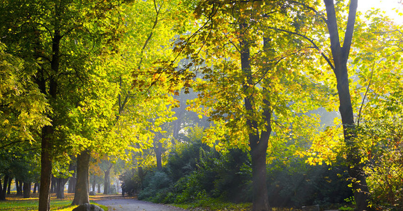 Gutes Wetter lädt ein zum Pilgern im Stadtpark