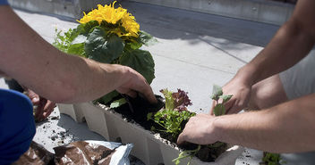 Arbeiten im Garten, Urban Gardening - Copyright: © Creative Commons, CC0