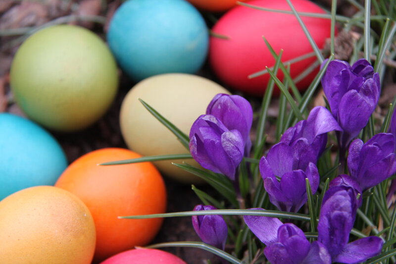 Ostereier liegen neben Blumen