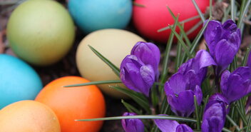 Ostereier liegen neben Blumen - Copyright: Stefanie Bernecker / fundus-medien.de