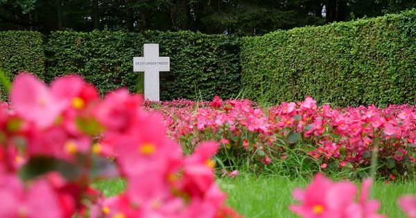 Grab Friedhof Stellingen - Copyright: © Hagen Grützmacher