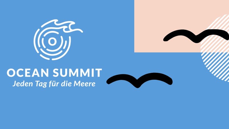 Plakat Ocean Summit