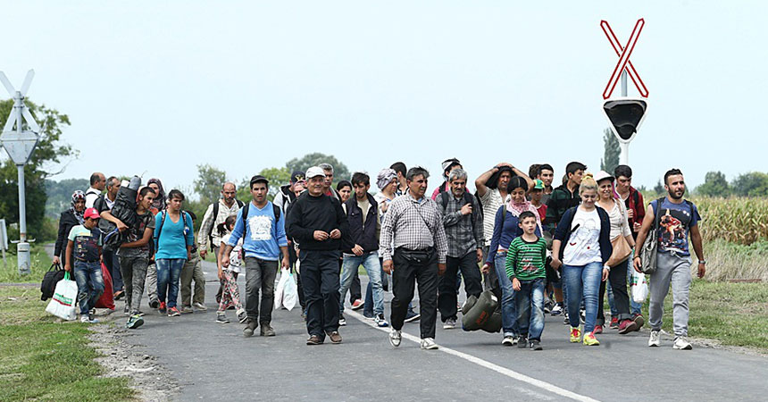 Flüchtlinge nahe der Grenze zwischen Serbien und Ungarn (25. August 2015)